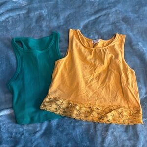 Lot Of 2 Cropped Tank Tops  Size Medium. Wild Fable & Heart & Hips.